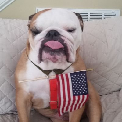 backtobackdawgs Profile Picture