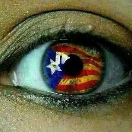 Visc segrestada per l'Estat represor de espanya. Polítics catalans, us passarem x sobre. 1O, Ni oblit, Ni lliris, NI PERDÓ.
@ConsellRep
