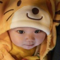 ごん太 (@shashadowdow) 's Twitter Profile