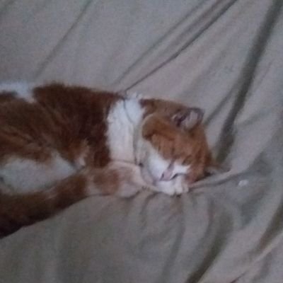 John36481000's profile picture. 