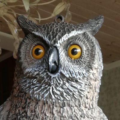 widen_emc's profile picture. Sanningen segrar alltid till slut.