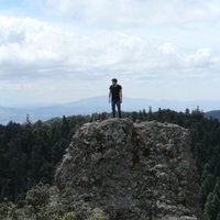 Loving Life (@lucarrerade) 's Twitter Profile