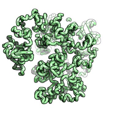 Computational & Genomics Lab studying 3D genome function and dynamics @ Netherlands Cancer Institute