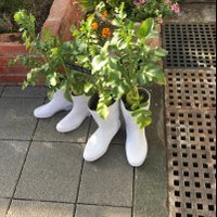 おてぃ (@k_120_117) Twitter profile photo