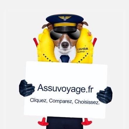 assuvoyage Profile Picture