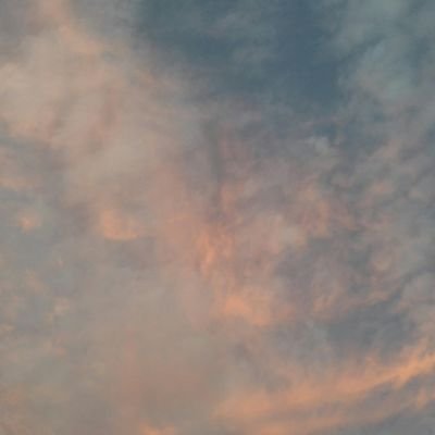 JW33228338's profile picture. Joweiiii