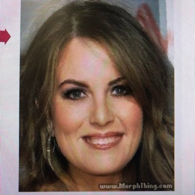 stormylewinsky's profile picture. don’t misunderestimate me. political commentator. already cancelled. patriot.