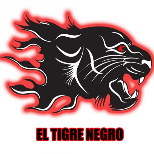 El Tigre Negro is a Techno Dance Electronic Music DJ. Checck out his music on iTunes or amazon