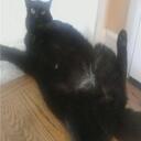 Brennan Baker - @IamBreen - Twitter