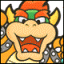 finalbowser Profile Picture