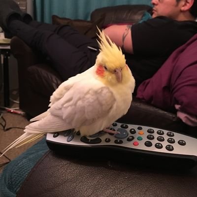 khrphy's profile picture. 