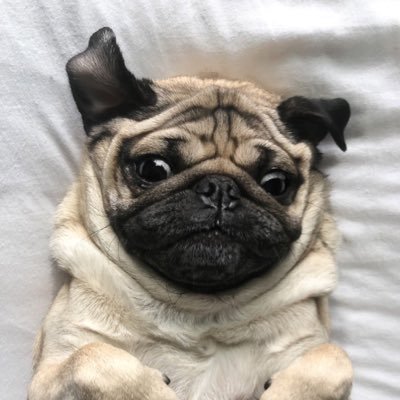 ptoprw's profile picture. 