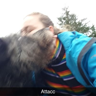 Random_typomake's profile picture. Avoiding people, discussing politics, and genreally having no idea