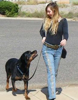#Dog #Training | TURN YOUR DOG IN TO A GENIUS! | How to train any dog the basics | how to do dog care | how to teach your dog to do something | ⬇️#dogtrainer