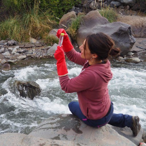 Microbial Ecologist // Researcher @HubUpla in Chile // Archaeal diversity // Mercury and methylmercury in aquatic systems // Antarctic lakes // Beaver ponds