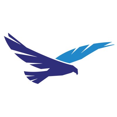 Hawk Ridge Systems Profile