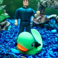 SERVPRO of Universal City / St. Hedwig (@servpro10730) 's Twitter Profile
