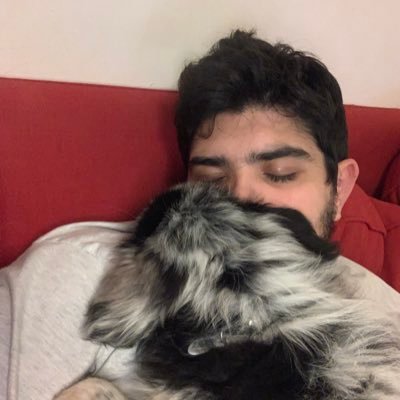 thibald95's profile picture. 