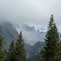 ThndrShk2k (@thndrshk2k) 's Twitter Profile Photo