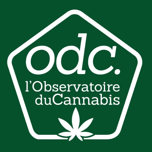 ObservCannabis Profile Picture