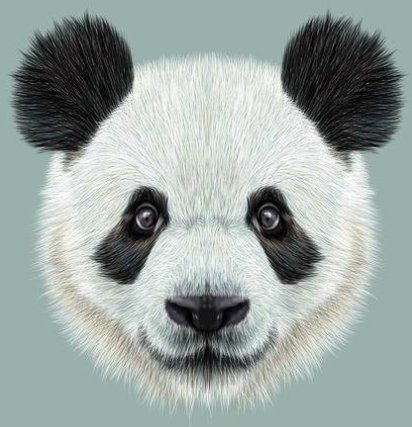 Panda31808732 Profile Picture