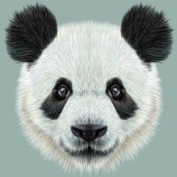 Maître Pandaï (@panda31808732) 's Twitter Profile Photo Maître Pandaï (@panda31808732) 's Twitter Profile Photo