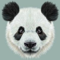 Maître Pandaï(@Panda31808732) 's Twitter Profileg