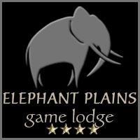 Situated in the Sabi Sand Wildtuin, Elephant Plains Game Lodge offers affordable luxury and some of the most exciting Big 5 game viewing in the world!