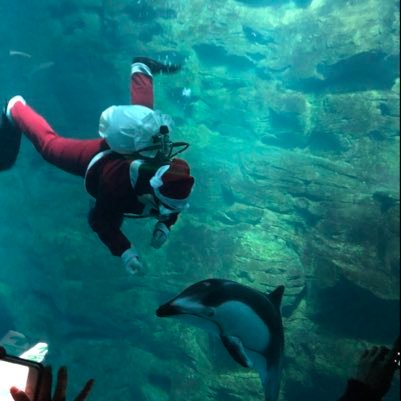 AllenWen1's profile picture. 