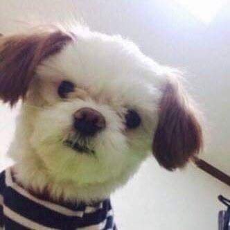 MartinJun7's profile picture. 평범한 직장인입니다.
서로맞팔해요~~