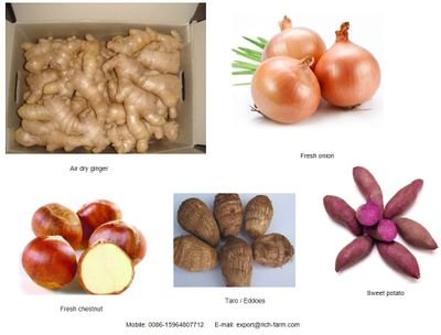 We good at produce Chinese ginger, onion, taro, chestnut.