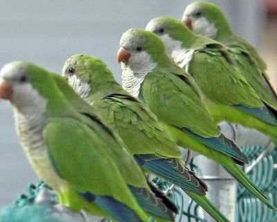 Sandhya02677497's profile picture. 