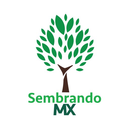 Sembrando Vida, estrategia de productividad campesina y generación de comunidad, para rescatar el campo y reactivar la economía local. (Información Ciudadana).
