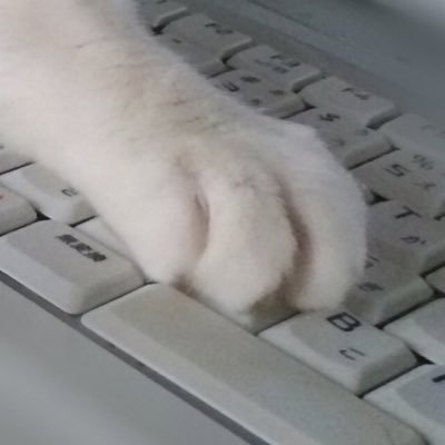 にゅーねこさんのプロフィール画像