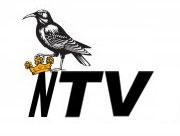 NewquayTV's profile picture. Broadcasting events from Newquay, Cornwall, UK...