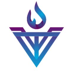 VisualTorch's profile picture. Helping businesses develop and implement cybersecurity strategies to reduce risk and improve business performance.