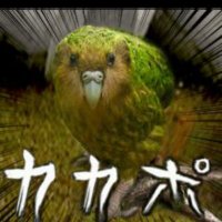 まきお (@makioboe) 's Twitter Profile