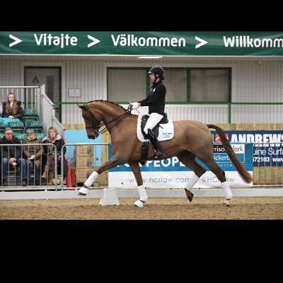 Previous rider for Carl Hester from 2009-2014.Junior European Team Member 2005/06.Based in Newent where I run my own livery and training business.