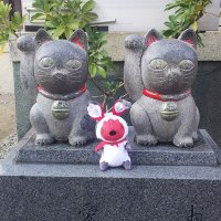 便宜上くろねこ (@nekosagi_yuzu) 's Twitter Profile
