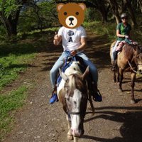 松山ひろゆきぱげ男爵🤓🍒ぱげぱげ🐉🐯🐻🏇(@page0607dragon) 's Twitter Profile Photo