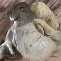 Emerald City Trolls (@emeraldctrolls) 's Twitter Profile Photo Emerald City Trolls (@emeraldctrolls) 's Twitter Profile Photo