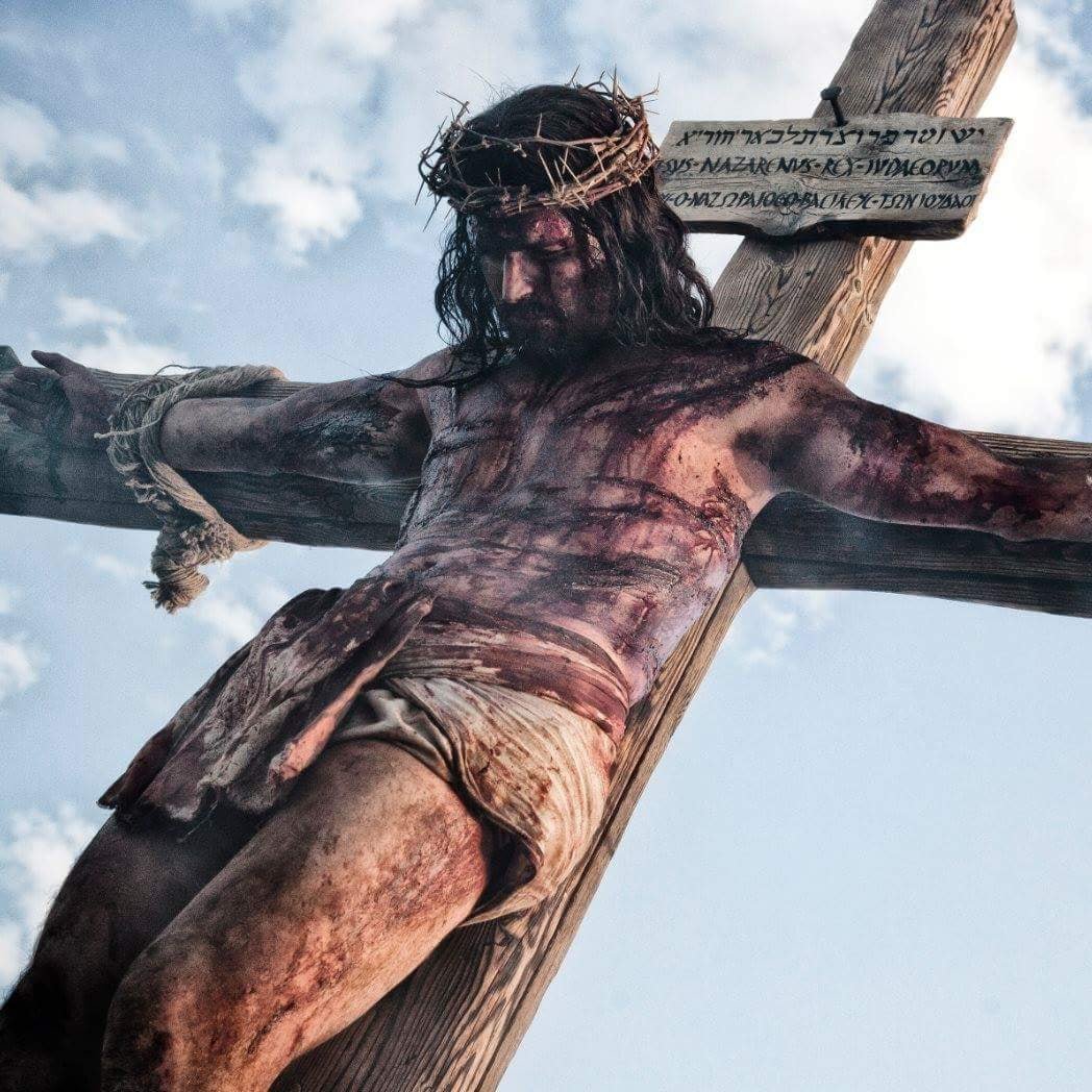 DavidEl24041662's profile picture. 