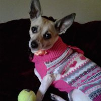 Marie Allison Smith (@roxiesthebae) 's Twitter Profile