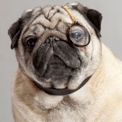 A Victorian Pug in a modern world - Opinions are all my own & I'm not afraid to voice them.