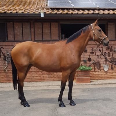 gianlucamen73's profile picture. L'unicità che rappresentò?, tutto è importante niente indispensabile. Ama e godi, divertiti si sincero e leale, si vive una sola volta.