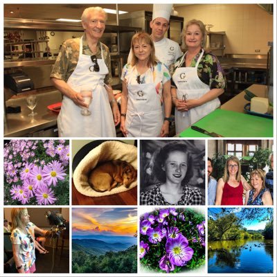 sjamison77's profile picture. Avid #stockmarket watcher and investor advocate. Passionate about #hiking and #animals