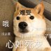 NMSL (@v93xqs4eny0bgco) Twitter profile photo NMSL (@v93xqs4eny0bgco) Twitter profile photo