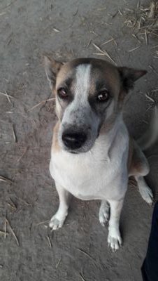 eeyXOGoocDwIil0's profile picture. 100