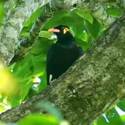 bellal2778's profile picture. 