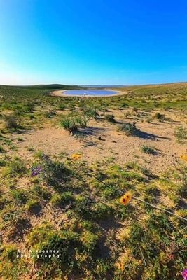 k5BiecVOvQ4iyCA's profile picture. 